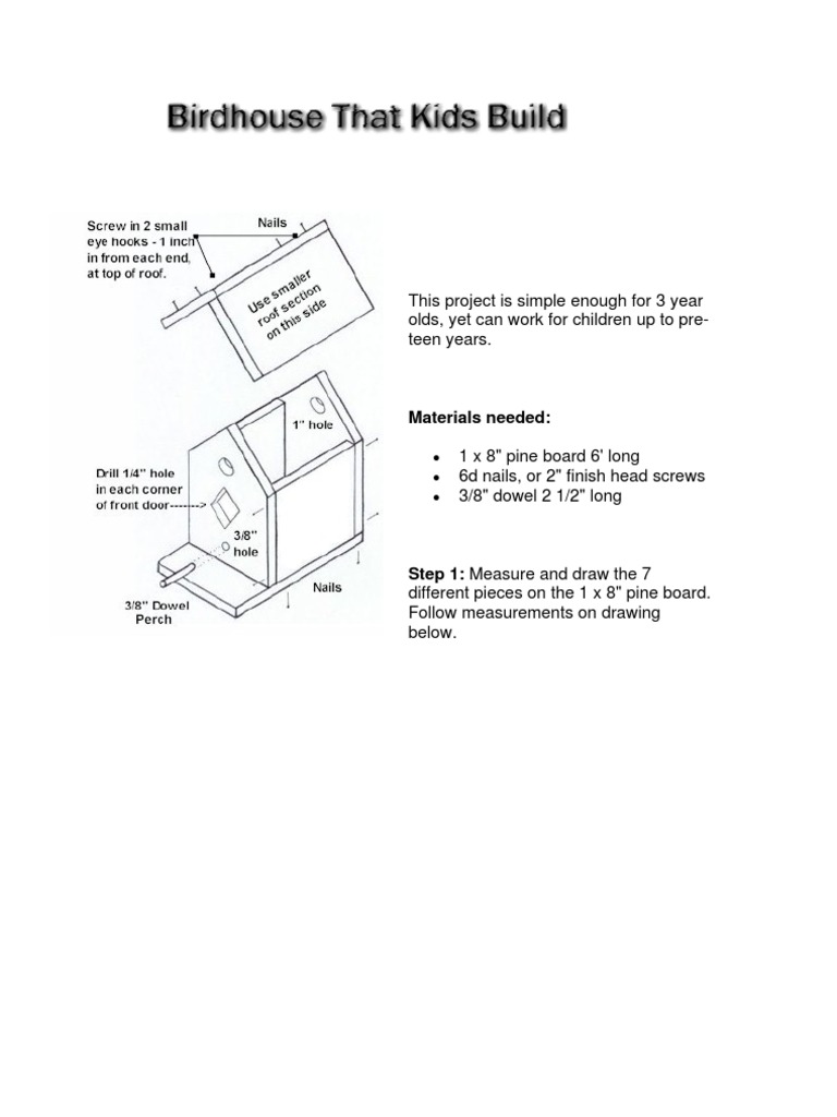 Easy Birdhouse Plans for Kids | PDF