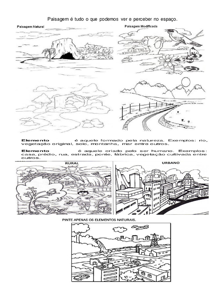 Activities in Natural and Modified Environment | PDF | Ecosystem | Earth