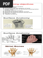 Thenar and Hypothenar Muscle Anatomy | PDF | Thumb | Hand