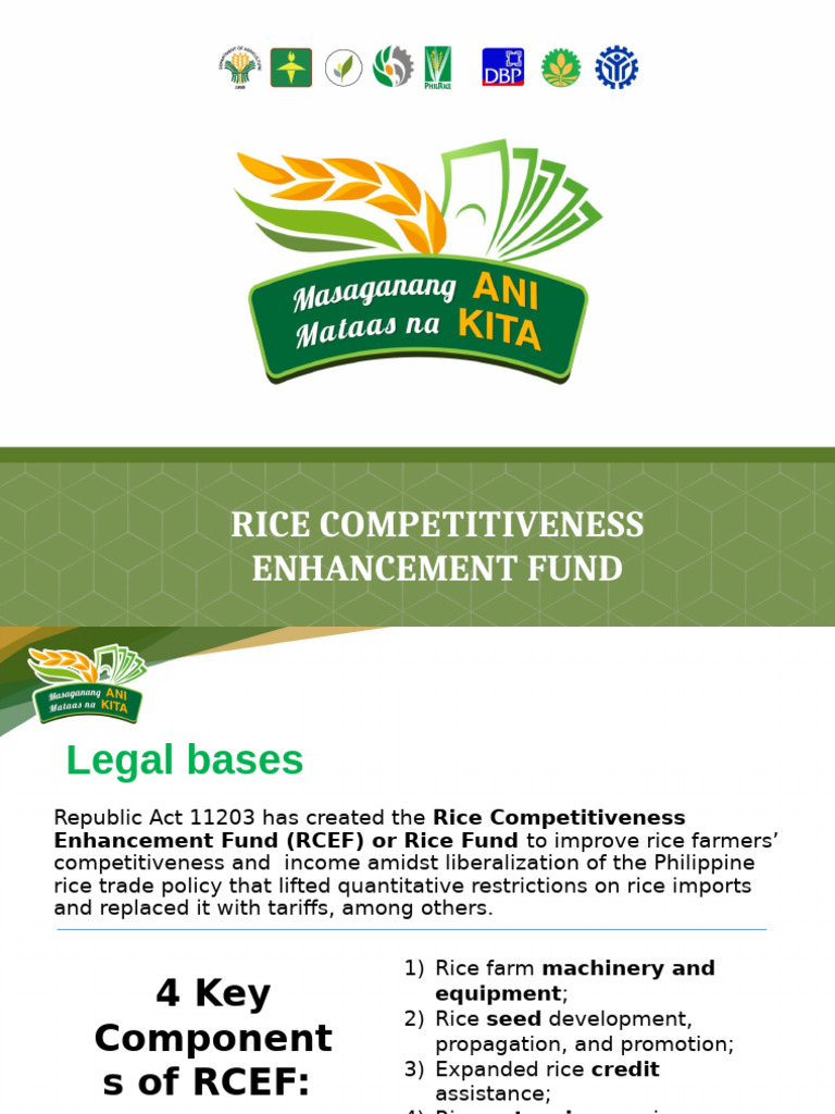 Understanding RCEF and Implication To Rice Farmers | PDF | Agriculture