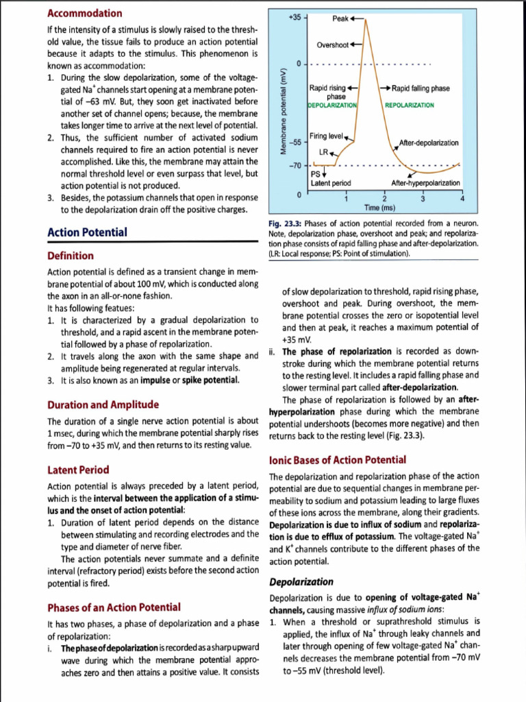 Adobe Scan 3 Nov 2025 | PDF