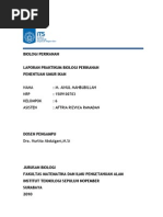 Download Laporan Umur Ikan Inul by granulla SN94479096 doc pdf