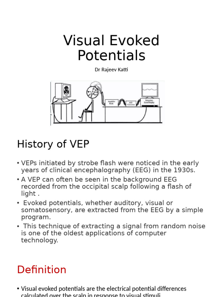Understanding Visual Evoked Potentials | PDF | Visual System | Retina