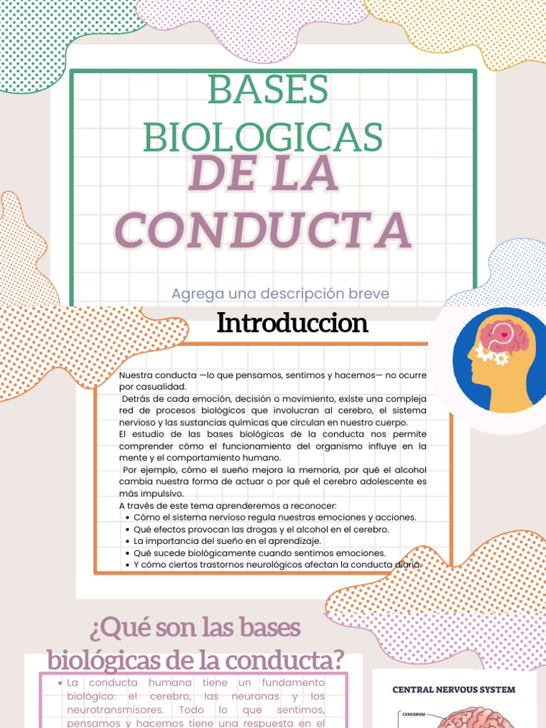 Bases biológicas de la conducta humana | PDF | Las emociones | Desorden ...