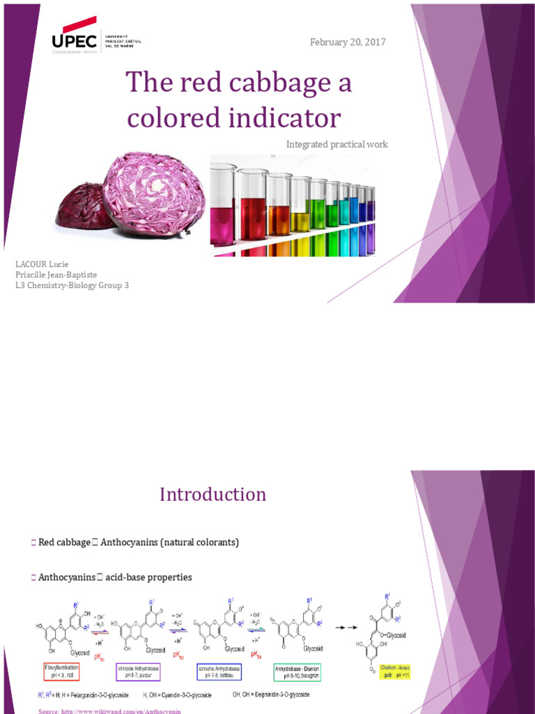 Red Cabbage as pH Indicator Study | PDF | Color | Spectrophotometry