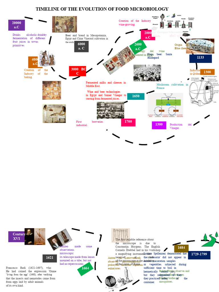 Microbiology_TIMELINE | PDF | Bacteria | Louis Pasteur