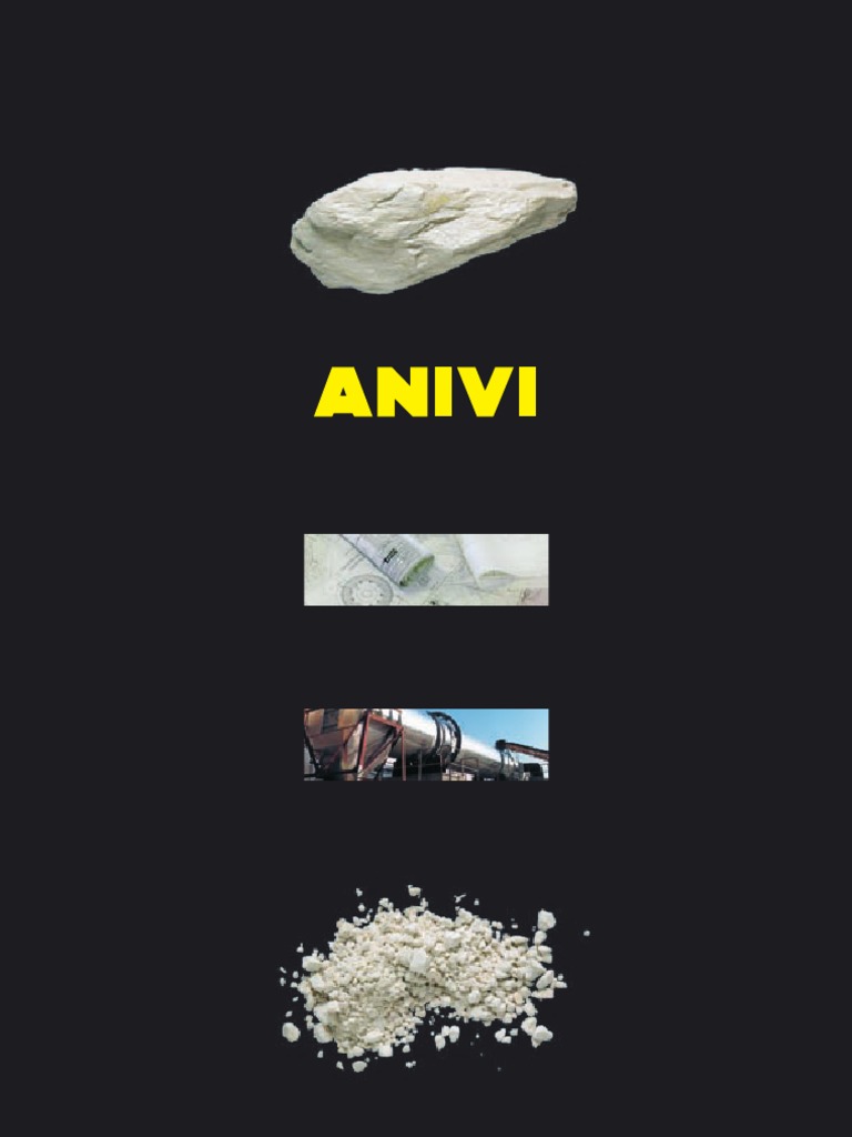 Innovación y Maquinaria de ANIVI | PDF | Materiales | Química