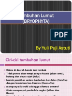 Tumbuhan Lumut BRYOPHYTA Yuli Aplikom