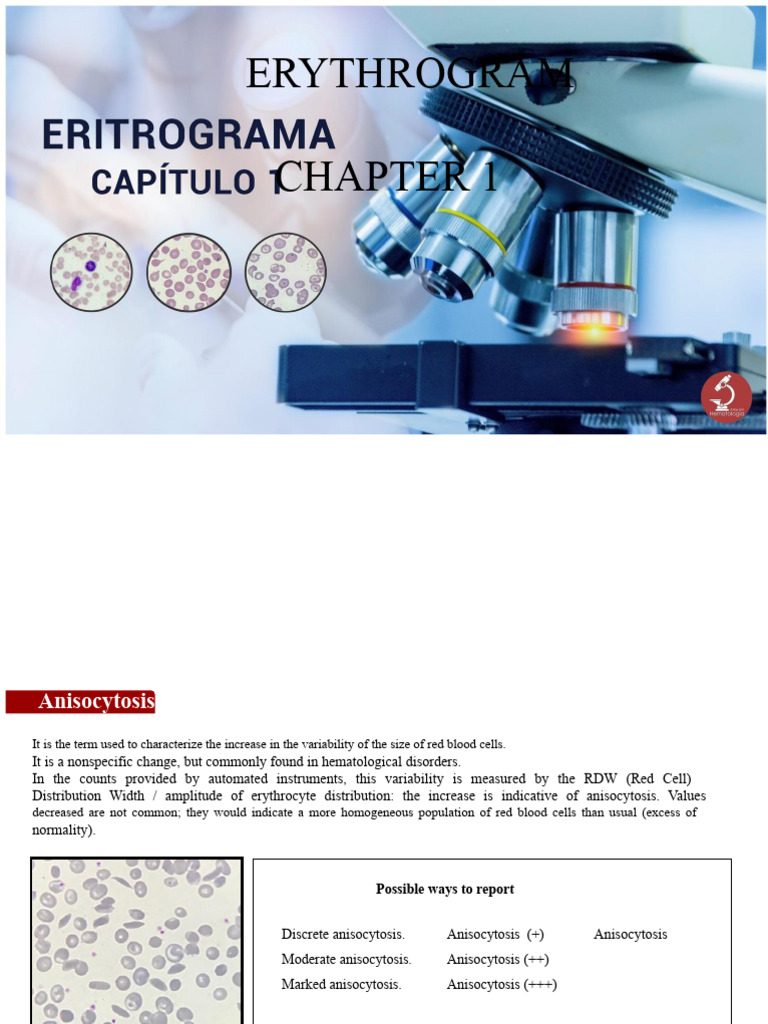 Erythrogram Analysis: Red Blood Cell Variations | PDF | Red Blood Cell ...