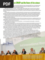 IRRI Funding Cuts and Staffing Changes | PDF | International Rice