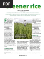 Download RT Vol 10 No 1 Greener rice by Rice Today SN94487863 doc pdf