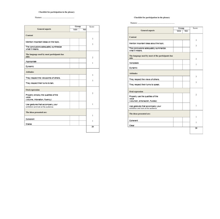 Checklist For Participation in The Plenary | PDF | Human Communication ...