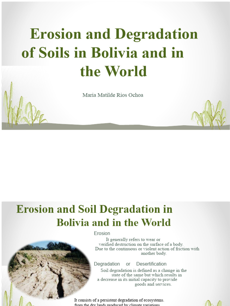Soil Erosion and Degradation in Bolivia | PDF | Environmental ...