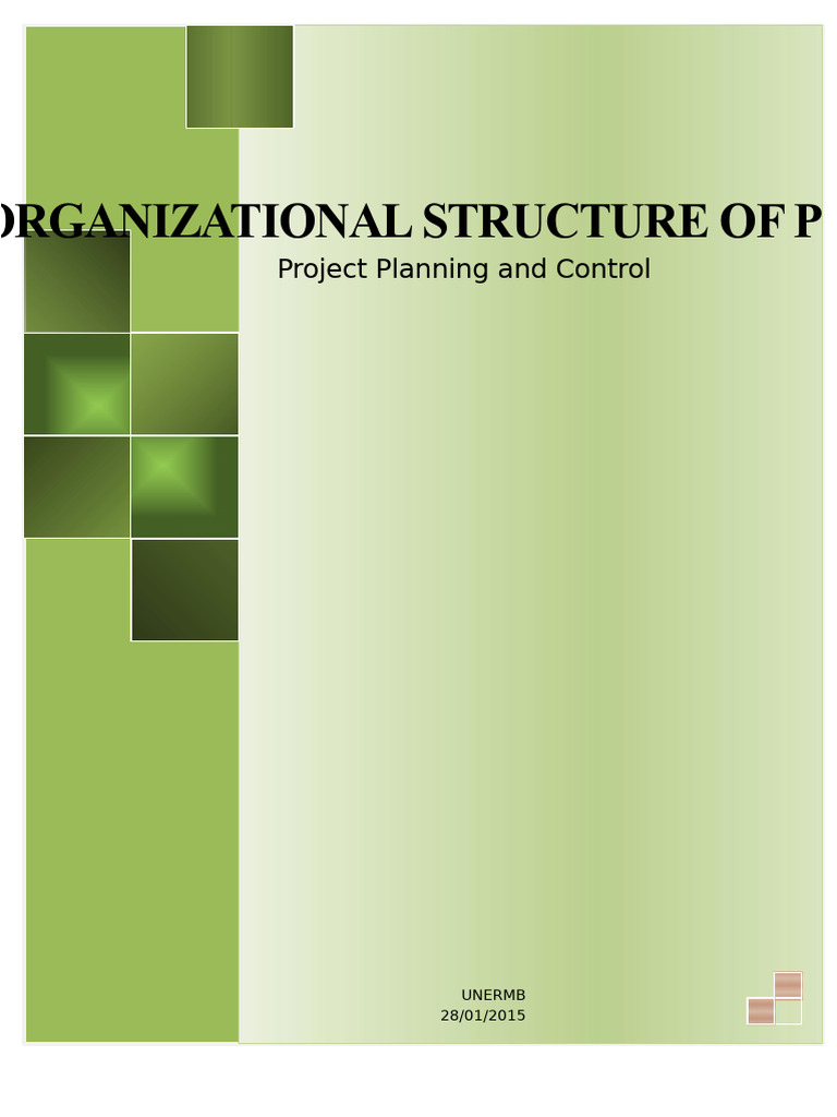 Project Organizational Structure Overview | PDF | Organizational ...