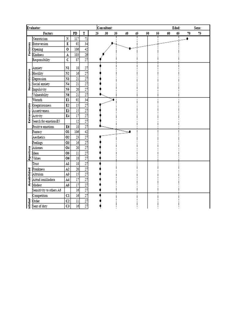 NEO PI-R Profile .XLSX SILVIA | PDF