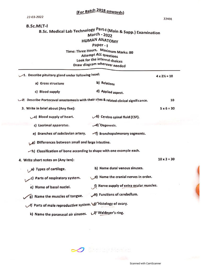 Anatomy BMLT | PDF