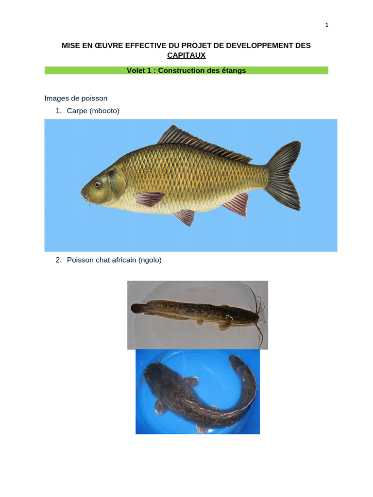 Élevage de poissons en étangs en RDC | PDF | Fumier | Compost
