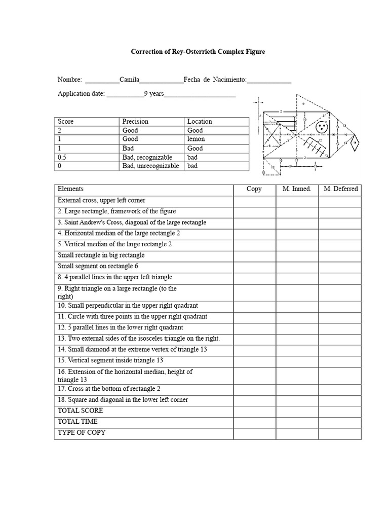 Complex Figure Protocol of the King | PDF
