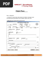 ICAO Flight Plan Format Guide | PDF | Aerospace | Aviation Safety