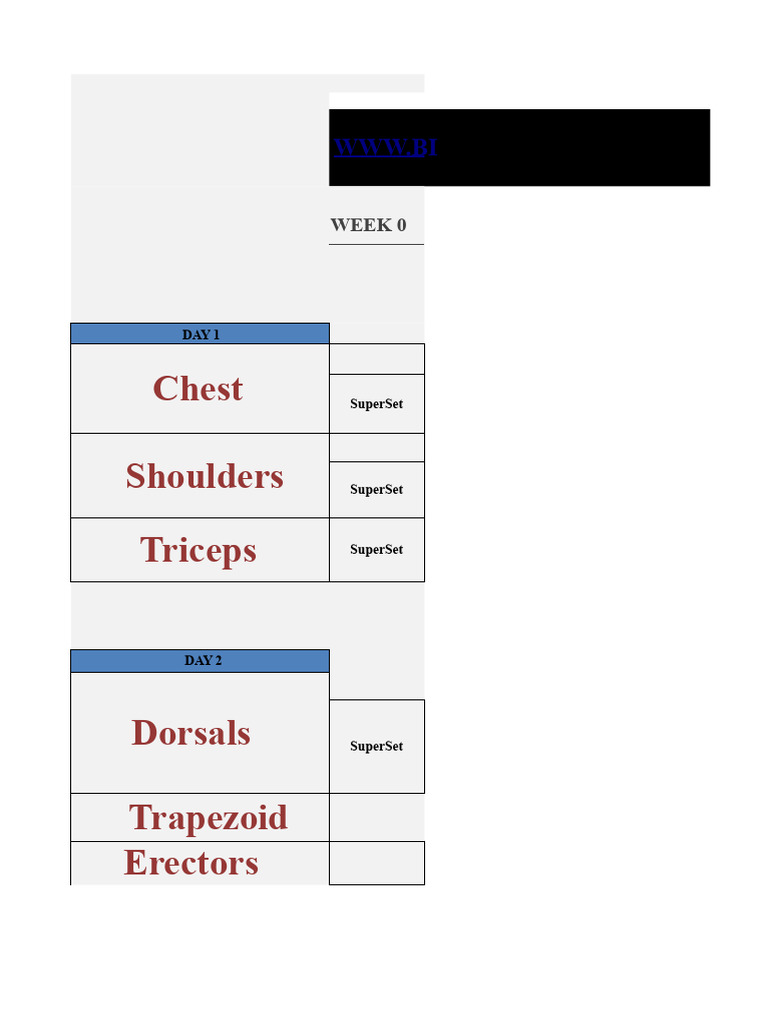 Heavy Duty Routine | PDF | Strength Training | Weight