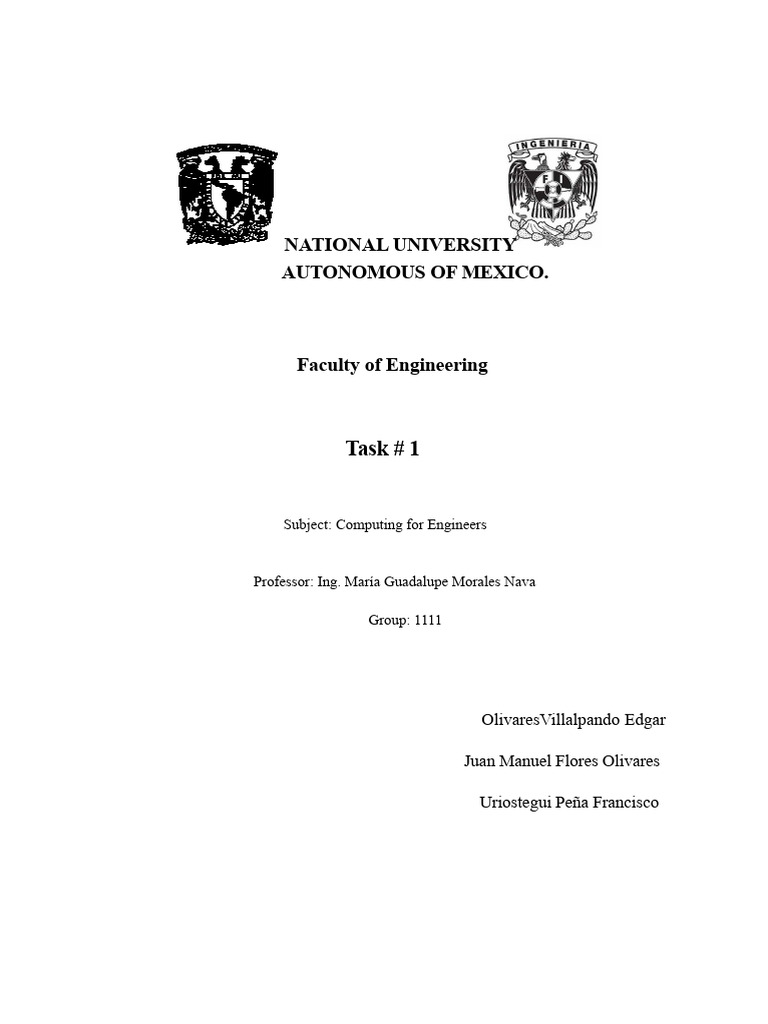 Computing in The Engineering Professional | PDF | Computing