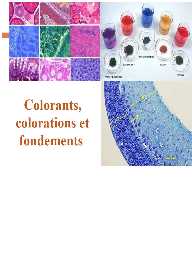 Fondements et types de colorants | PDF | Couleur | Chimie