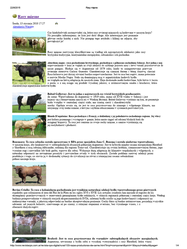 Rasy Mięsne | PDF