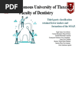 Seibert Classification of Alveolar Defects | PDF