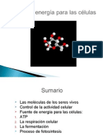 3.3 Fuente de Energía para Las Células PRISCILA