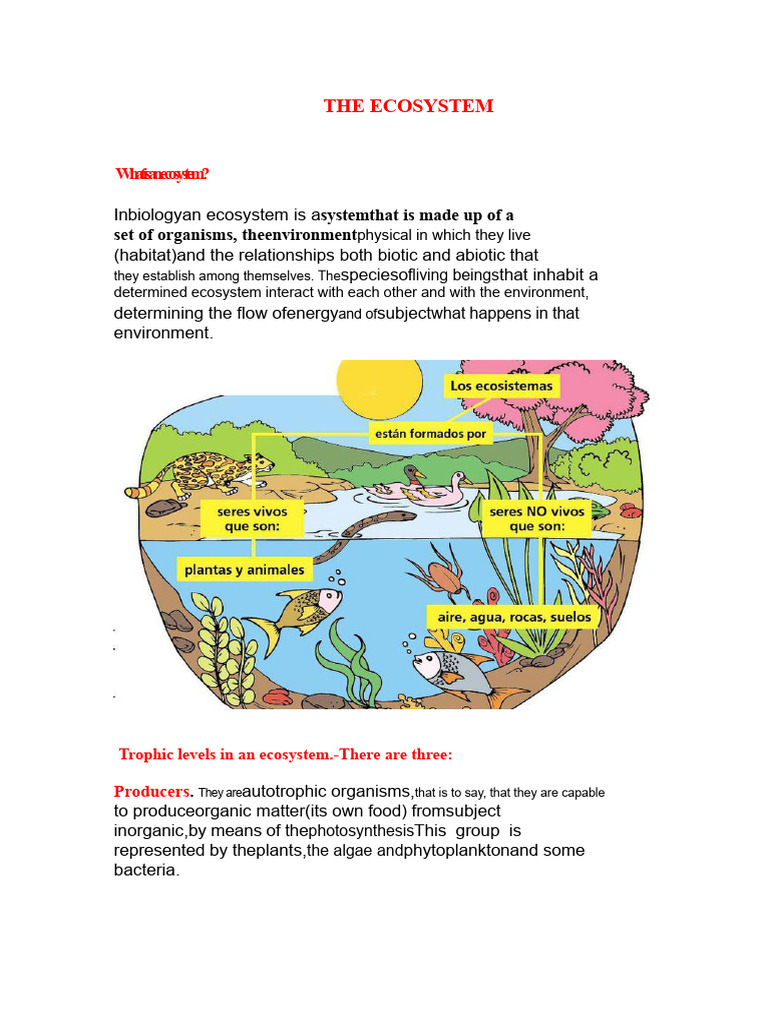 Understanding Ecosystems: Types & Components | PDF | Ecosystem ...