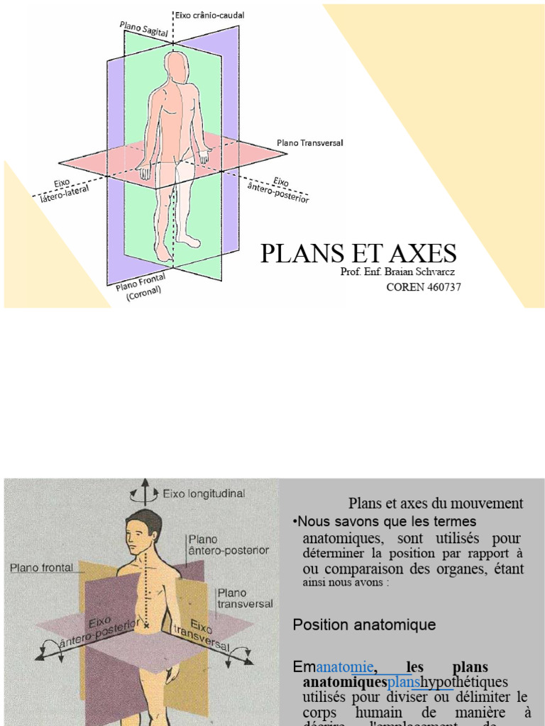 Plans et axes anatomiques du corps | PDF | Système de référence en anatomie