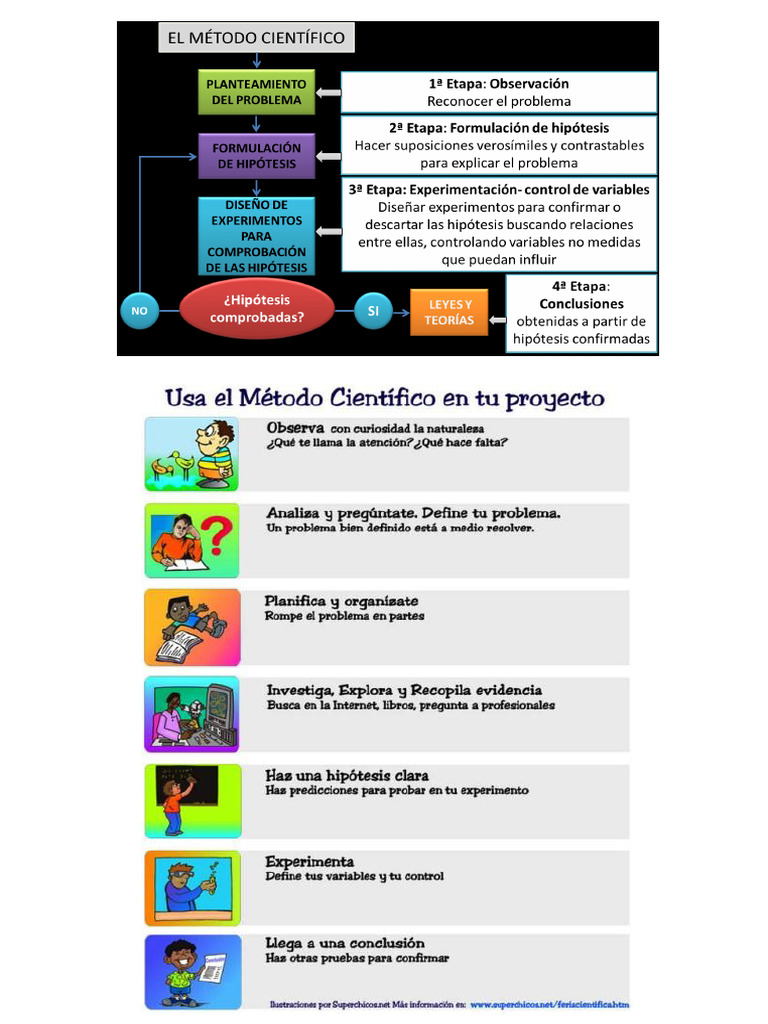 Steps of the Scientific Method Explained | PDF | Experiment ...