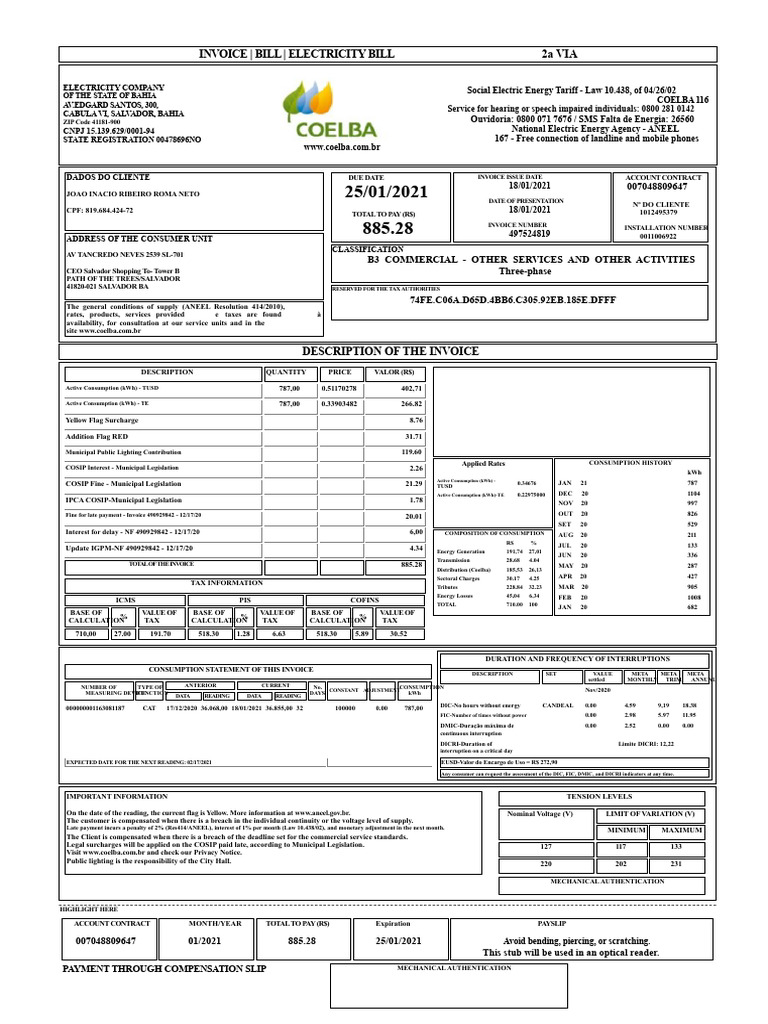 Electricity Bill Invoice - January 2021 | PDF | Payments | Receipt