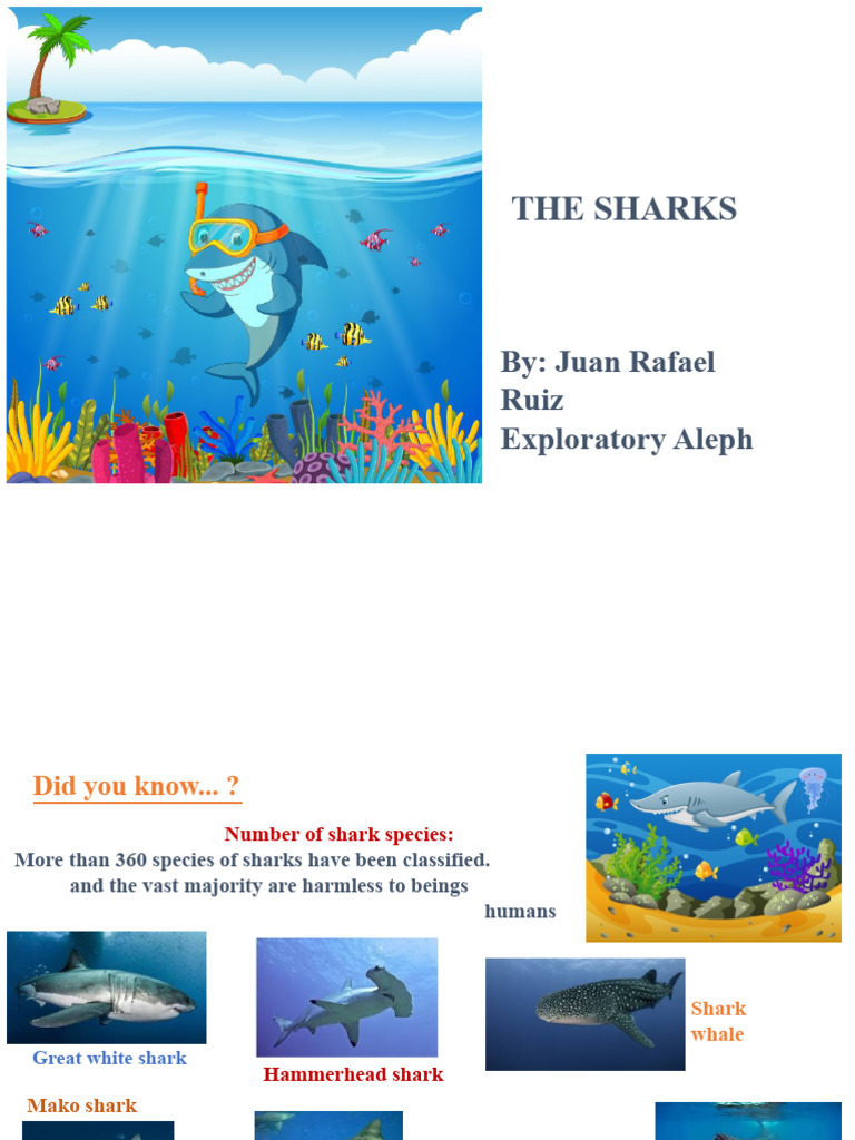 Sharks | PDF | Sharks | Tooth
