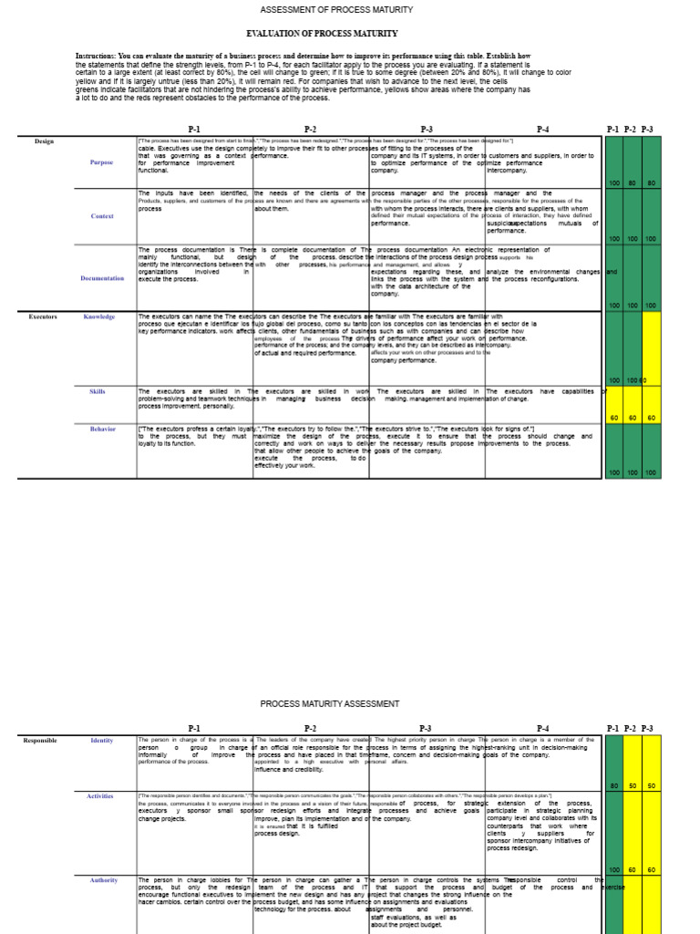 Final Project - Process and Company Maturity Evaluation | PDF | Expert ...