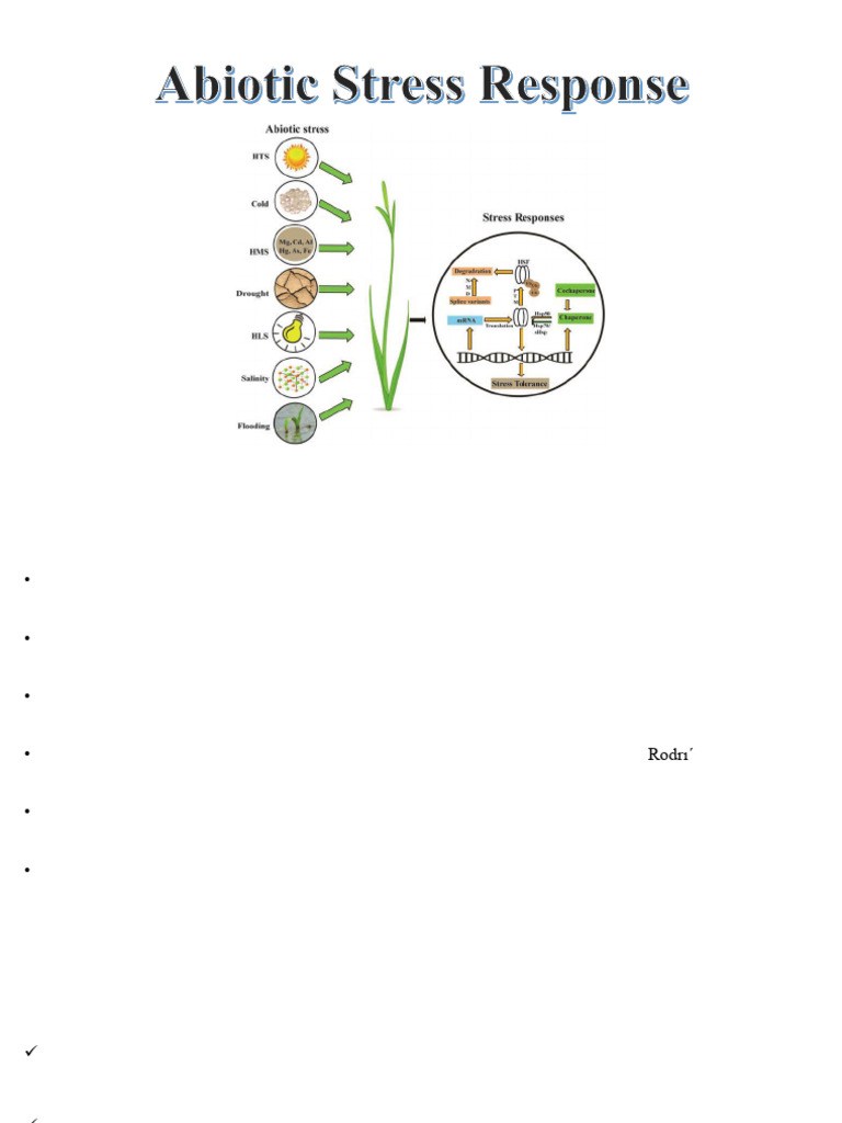 Abiotic Stress Responses in Plants | PDF | Reactive Oxygen Species ...