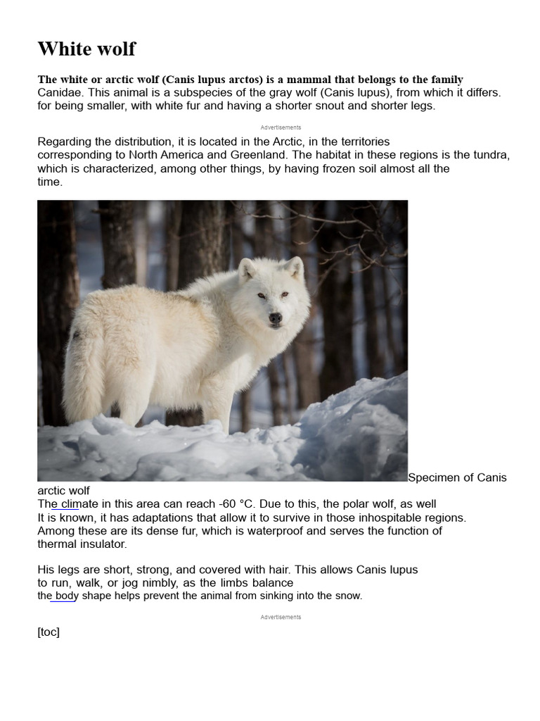Arctic Wolf: Characteristics and Habitat | PDF | Pack (Canine) | Arctic