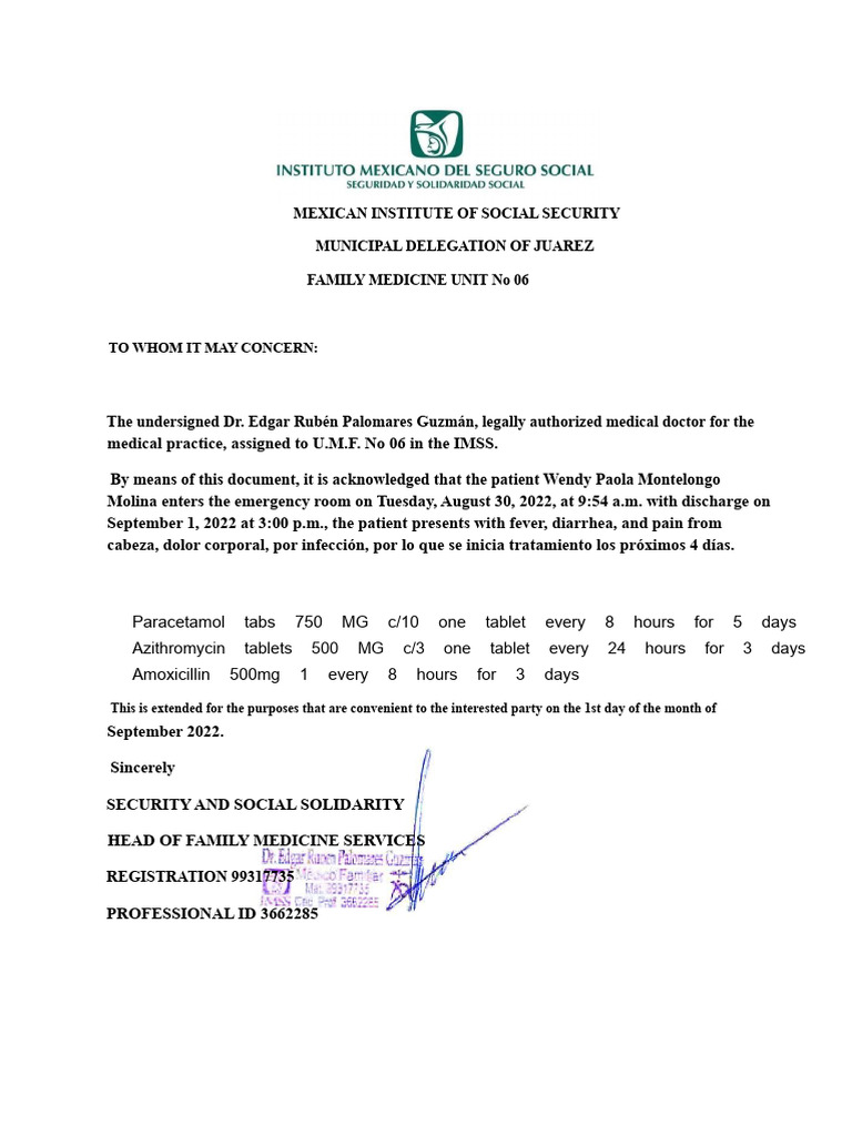 Imss Medical Justification | PDF