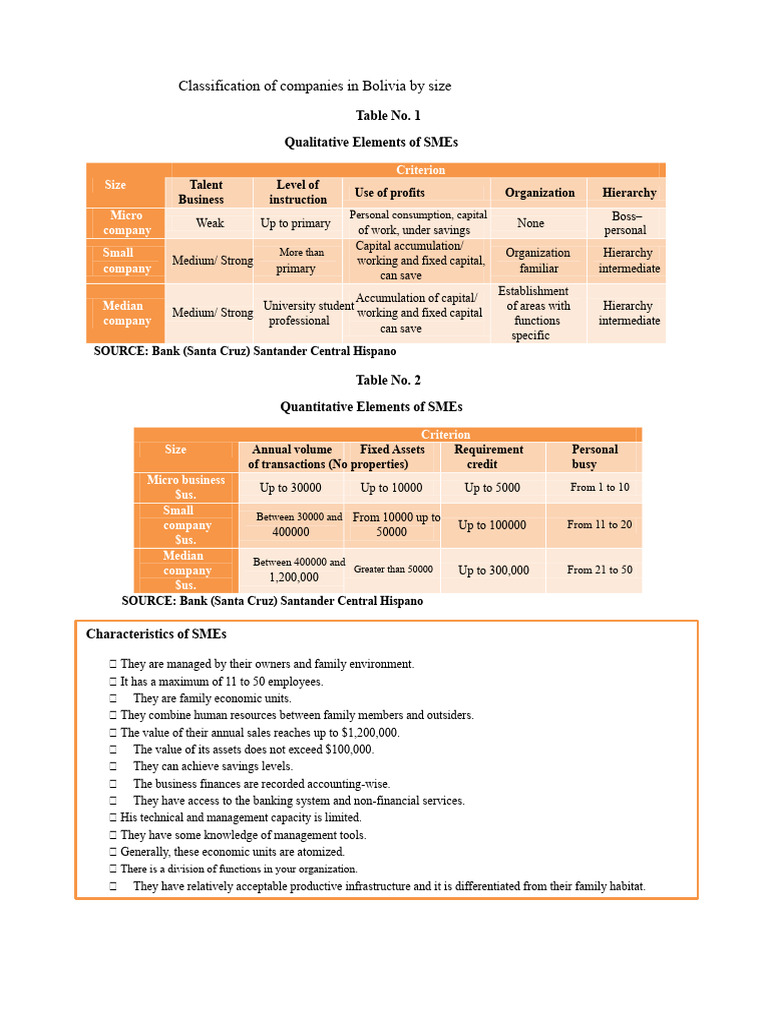 SME Classification in Bolivia by Size | PDF | Capital (Economics ...