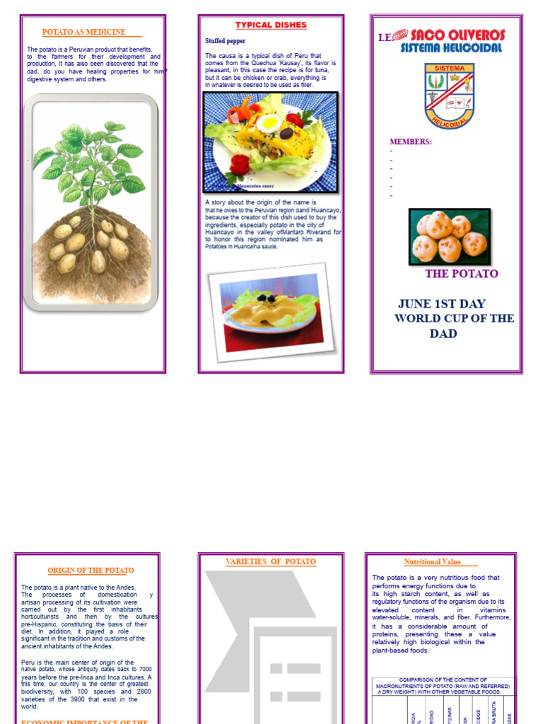 Triptych of The Potato | PDF | Potato | Vegetables
