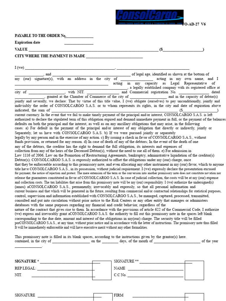 Promissory Note Instructions Template | PDF | Promissory Note | Debt