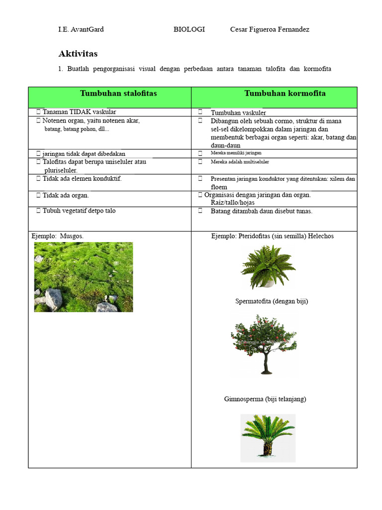 briofit talofit | PDF