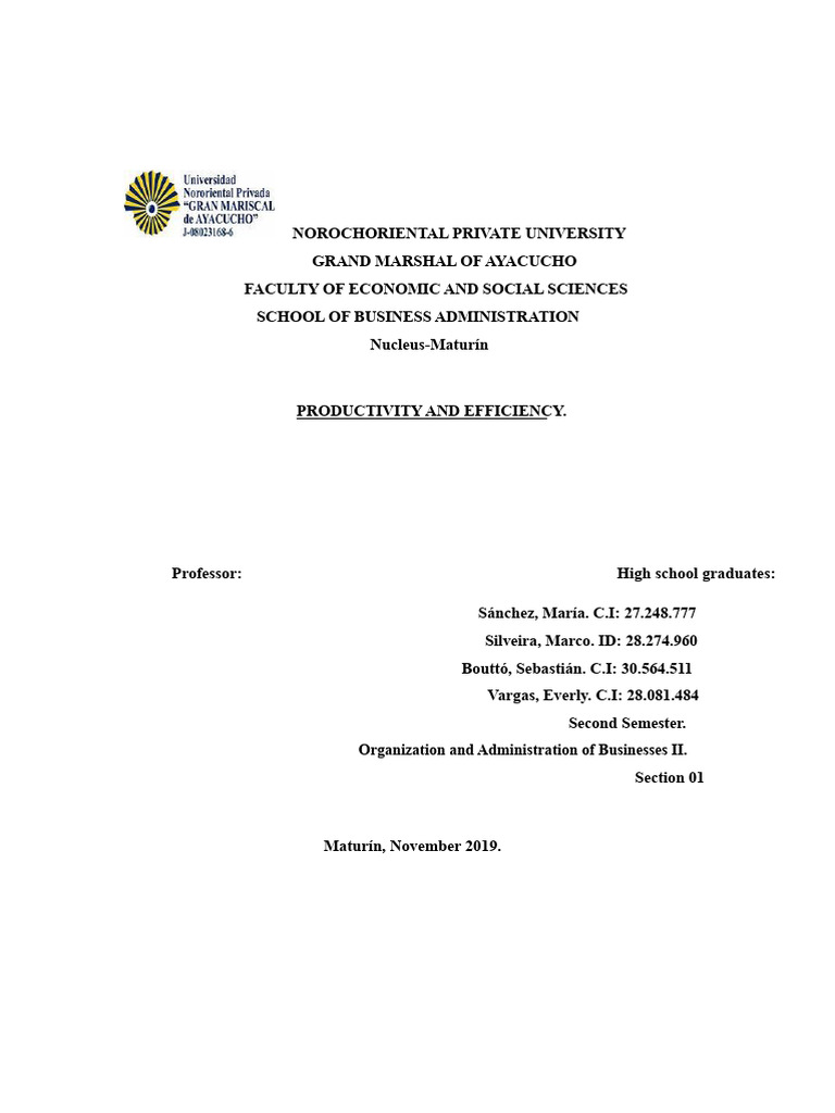 Understanding Productivity and Efficiency | PDF | Economies | Business