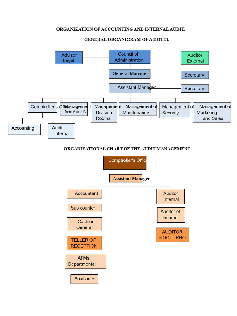 D-1 Org, Func, Charac and Interdependent Relations | PDF | Audit | Business