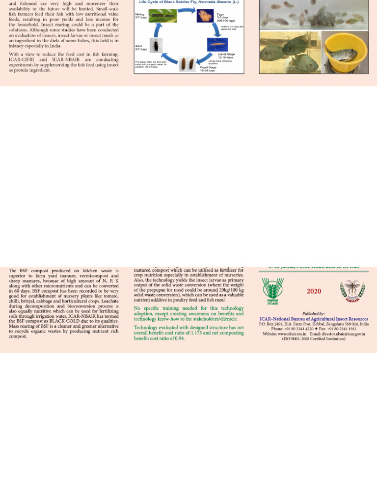 Folder 06 | PDF