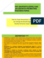 BIOTEK PERTANIAN II - Pupuk Hayati Dan PGPR + Biotransformasi C, N, P, K, S, Fe Dan Mn