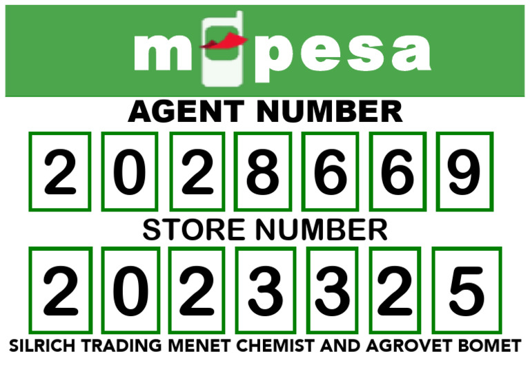 M Pesa | PDF