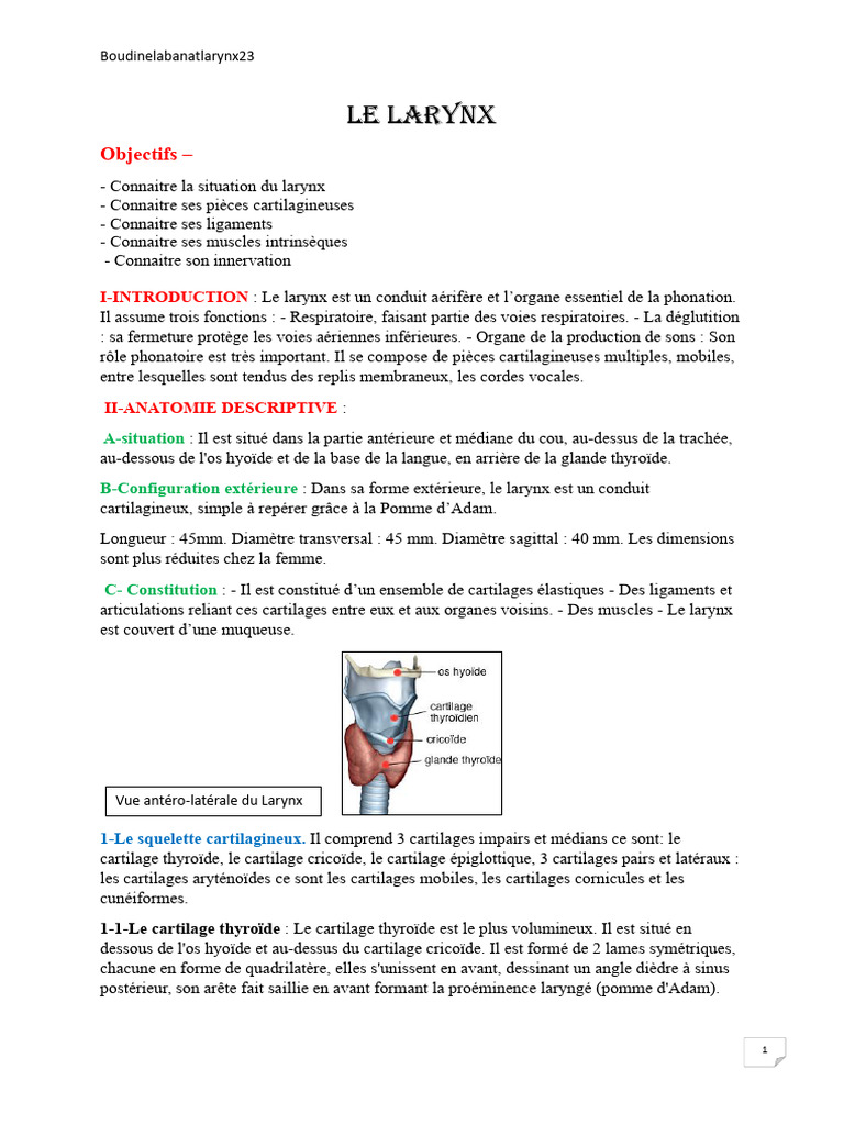 Anatomie et fonctions du larynx PDF Larynx Appareil — free download