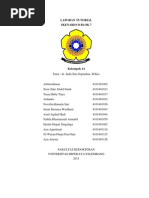 Download Laporan Skenario D Blok 7 by Icha Kadir SN94505283 doc pdf