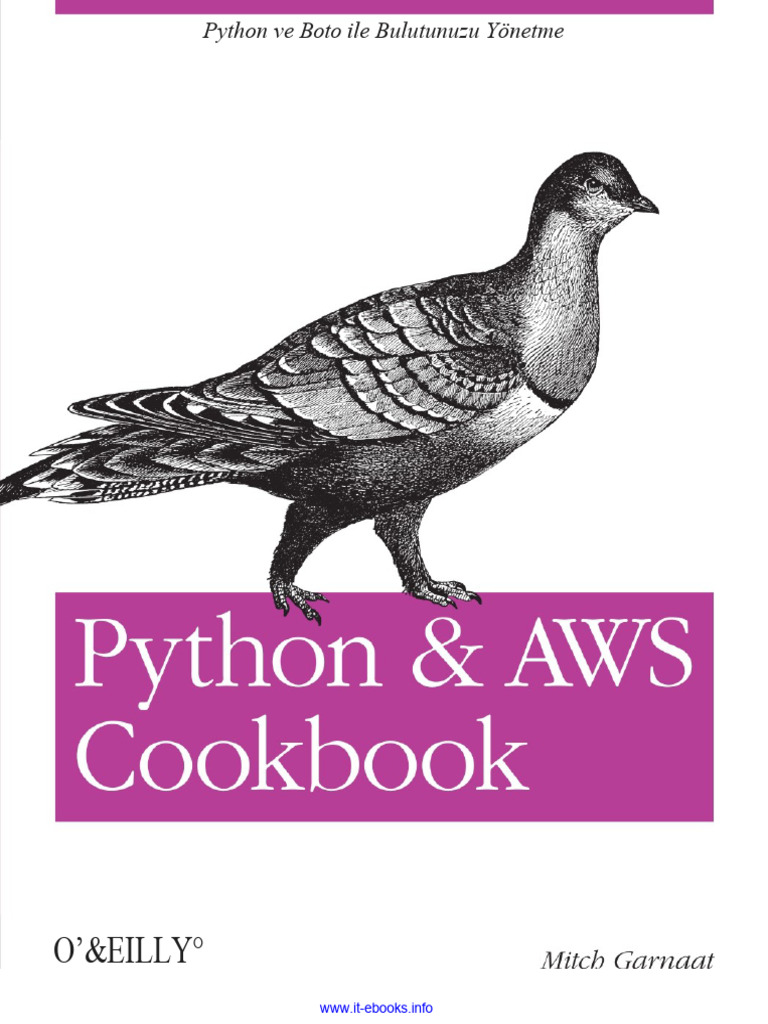 Python and AWS Cookbook TR | PDF